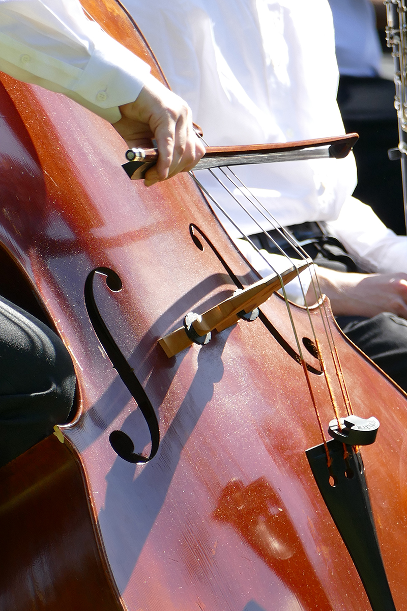 Double bass, CoTL 2015.jpg