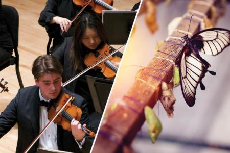 Split image, UGA Symphony Orchestra and butterfly exiting a chrysalis.